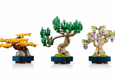 Mini Bonsai Trees -