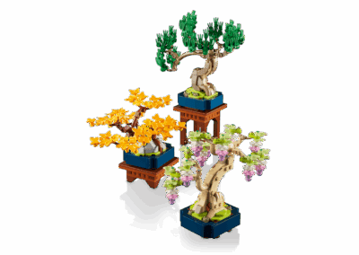 Mini Bonsai Trees -