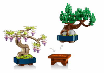 Mini Bonsai Trees -