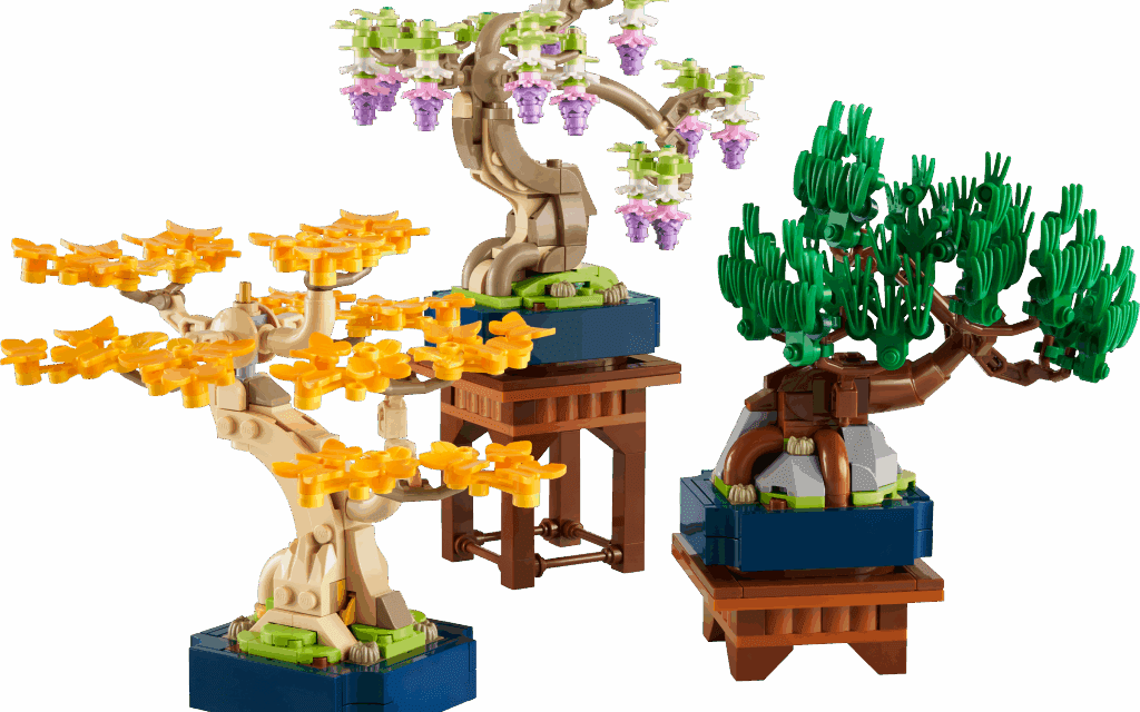 Mini Bonsai Trees Revealed