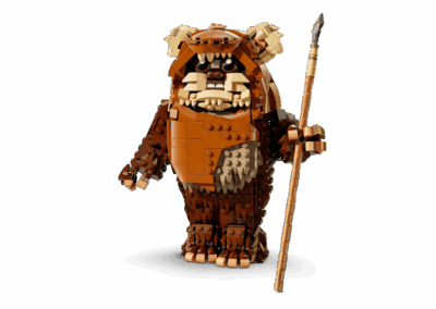 Wicket the Ewok -