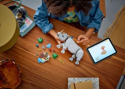 Wild Animals: Majestic Rhino with Birds -