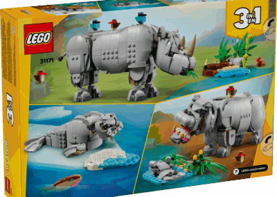 Wild Animals: Majestic Rhino with Birds -