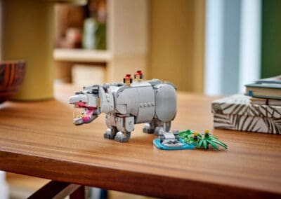 Wild Animals: Majestic Rhino with Birds -