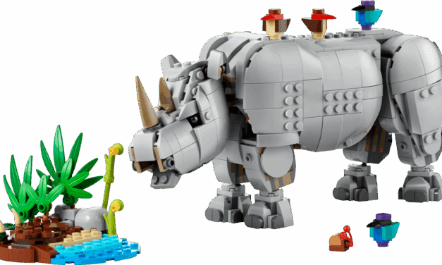 Wild Animals: Majestic Rhino with Birds Revealed