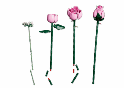 Bouquet of Pink Roses -