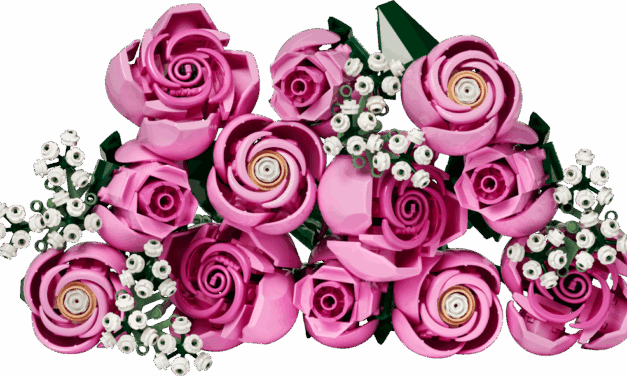Bouquet of Pink Roses Revealed