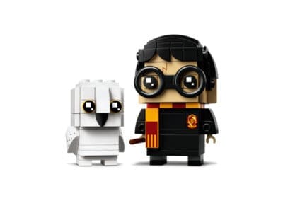 Harry Potter & Hedwig -