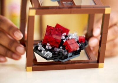 Mineral Collection -