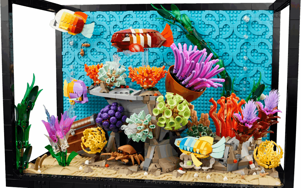 Tropical Aquarium Revealed